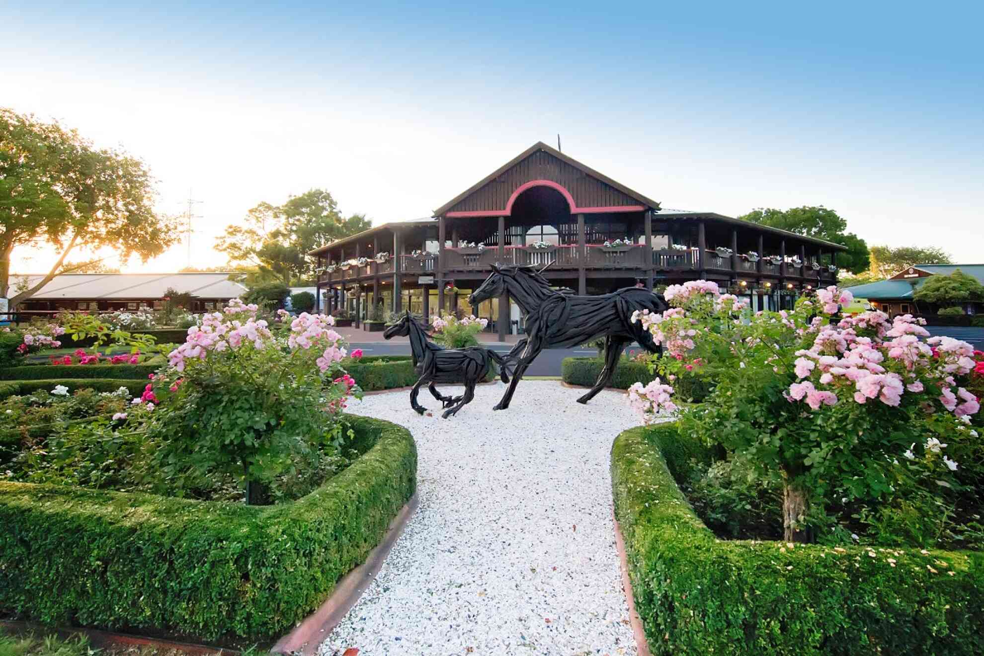 Spring Activities 2020 Second Spring Classic for Sir Albert (NZ) | NZB | Thoroughbred Auction ...
