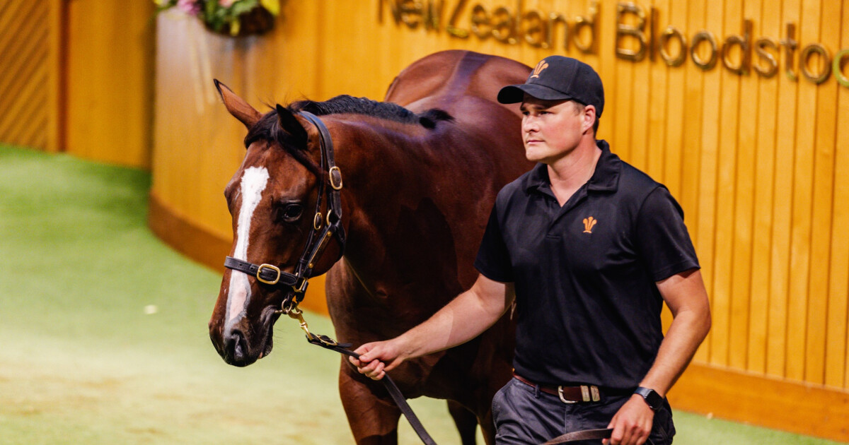Stellar Start to Spring for Wentwood Grange | New Zealand Bloodstock ...